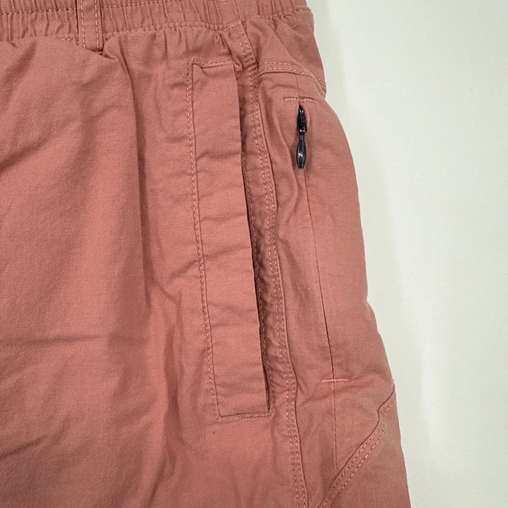 Birddogs Boom Benjamin Cranklins Lined Oxford Shorts Men's Large Golf Pink - Picture 6 of 9